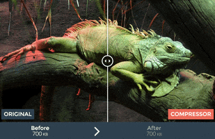 compressor image resize GIF by Product Hunt