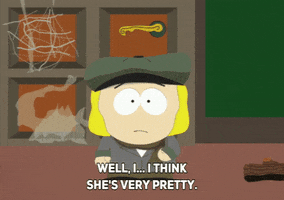 pip informing GIF by South Park 