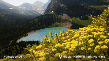 National Parks GIF by Visit The USA