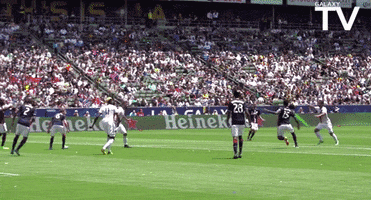 200.gif?cid=fc005b0888e2e0c87542c7d031e42363e63e098bbd25ae05&rid=200.gif&ct=g