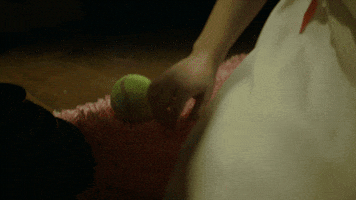scared paranormal witness GIF by SYFY