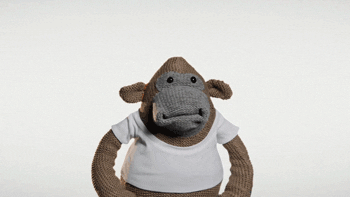 PG Tips shocked monkey oh my god disappointed GIF
