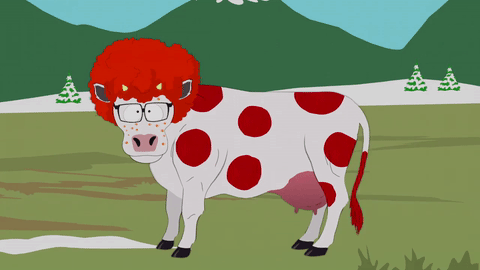 carrot-top-cow-gif-by-south-park-find-share-on-giphy