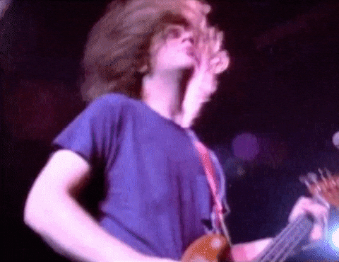 sub pop yes GIF by Sub Pop Records