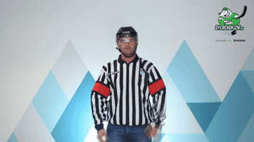 gyerehokizni hockey referee hoki jegkorong GIF