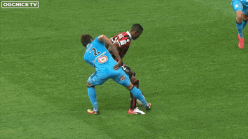 ridhapaix  GIF