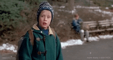 Christmas Wet Bandits GIF by Home Alone