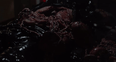 volume 1 zygote GIF by Oats Studios