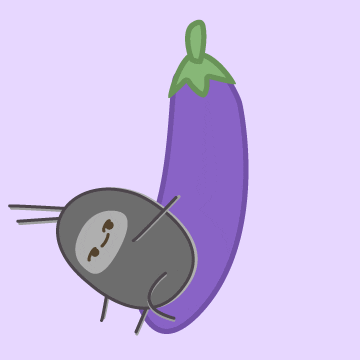 giphy.gif
