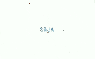 more GIF by SOJA
