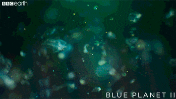 blue planet snow GIF by BBC Earth