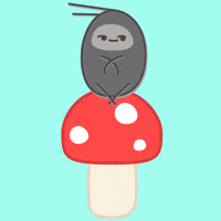 Featured image of post The Best 24 Cockroach Dancing Gif