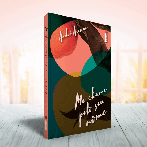 Me Chame Pelo Seu Nome GIF