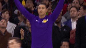 excited los angeles lakers GIF by NBA