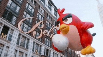 Angry Birds GIF by The 94th Annual Macy’s Thanksgiving Day Parade