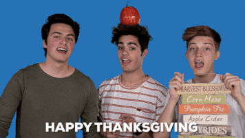 thanksgiving GIF by Forever In Your Mind