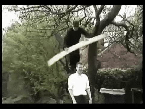 Plank Of Wood GIFs - Get the best GIF on GIPHY