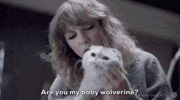 Behind The Scenes Cat GIF by Taylor Swift