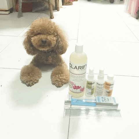 helentse mui mui GIF