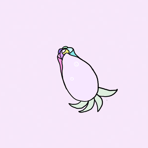 Pastel Wallpaper Gifs Get The Best Gif On Giphy