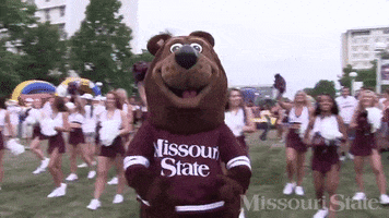 Boomer GIF by Missouri State University