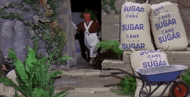 Willy Wonka And The Chocolate Factory Oompa Loompa GIF