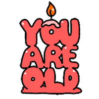 you are old happy birthday Sticker by Studios Stickers