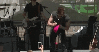 the swon brothers cma fest 2016 GIF by CMA Fest: The Music Event of Summer