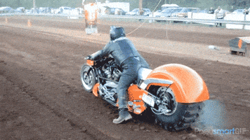 200.gif?cid=fc005b081b43d82b82c8b8f09d5550417ad9c768cc27ccd4&rid=200.gif&ct=g