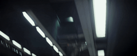 burnsydelight  GIF