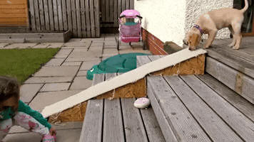 haphan-4e10 funny GIF