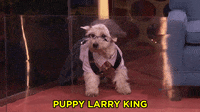 Larry-bowa GIFs - Get the best GIF on GIPHY