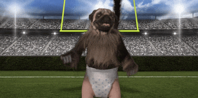 Puppymonkeybaby Gifs Get The Best Gif On Giphy