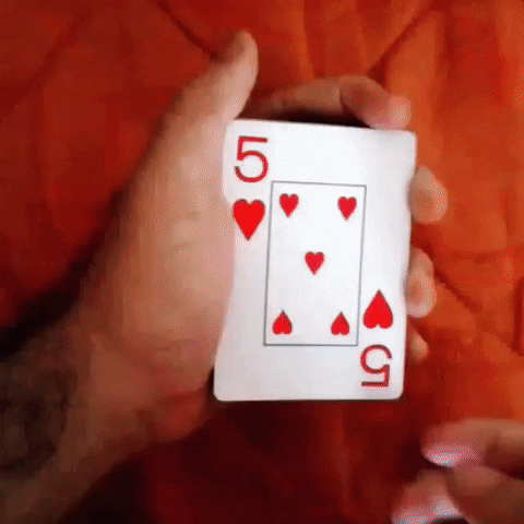 Rocha GIF