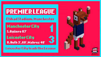 footballpediax football voxel leicester GIF