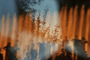 200.gif?cid=fc005b084dfb1b2d95f6480ed446e2545c048a464e61f55f&rid=200.gif&ct=g