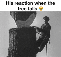 imran  GIF
