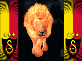 hilal galatasaray galatasaray gif galatasaray hareketli resim cim bom gif GIF