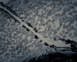 Blood GIF