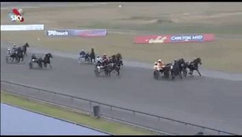 Chris Lewis Pinjarra GIF