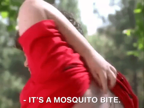 Salute Your Shorts Nicksplat GIF