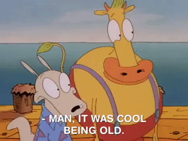 Rockos Modern Life Nicksplat GIF
