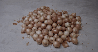 merge records onions GIF by Ought merge records onions GIF by Ought