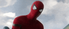 web spiderman homecoming GIF by Spider-Man