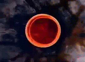 altered states GIF by Nick