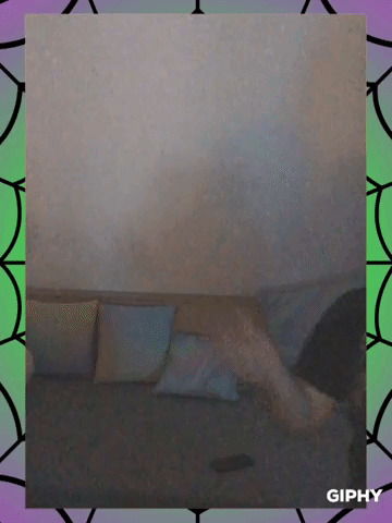  GIF