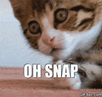 Mass Snap GIFs - Get the best GIF on GIPHY