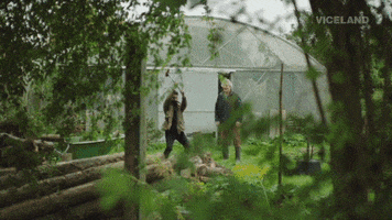 chopping wood GIF by WEEDIQUETTE