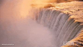 America Wild GIF by  Visit The USA DE