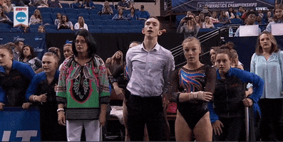 200.gif?cid=fc005b089abcf40ede9a514d904e700779748c7c9b000c97&rid=200.gif&ct=g